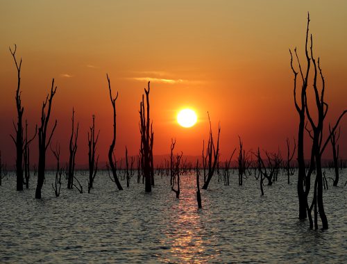 Sonnenuntergang auf dem Kariba Stausee, Simbabwe I Bahia Fox