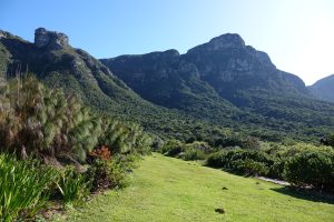 Kirstenbosch, Kapstadt, Südafrika I Bahia Fox